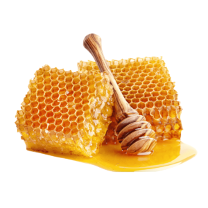 Bees Honey With Comb